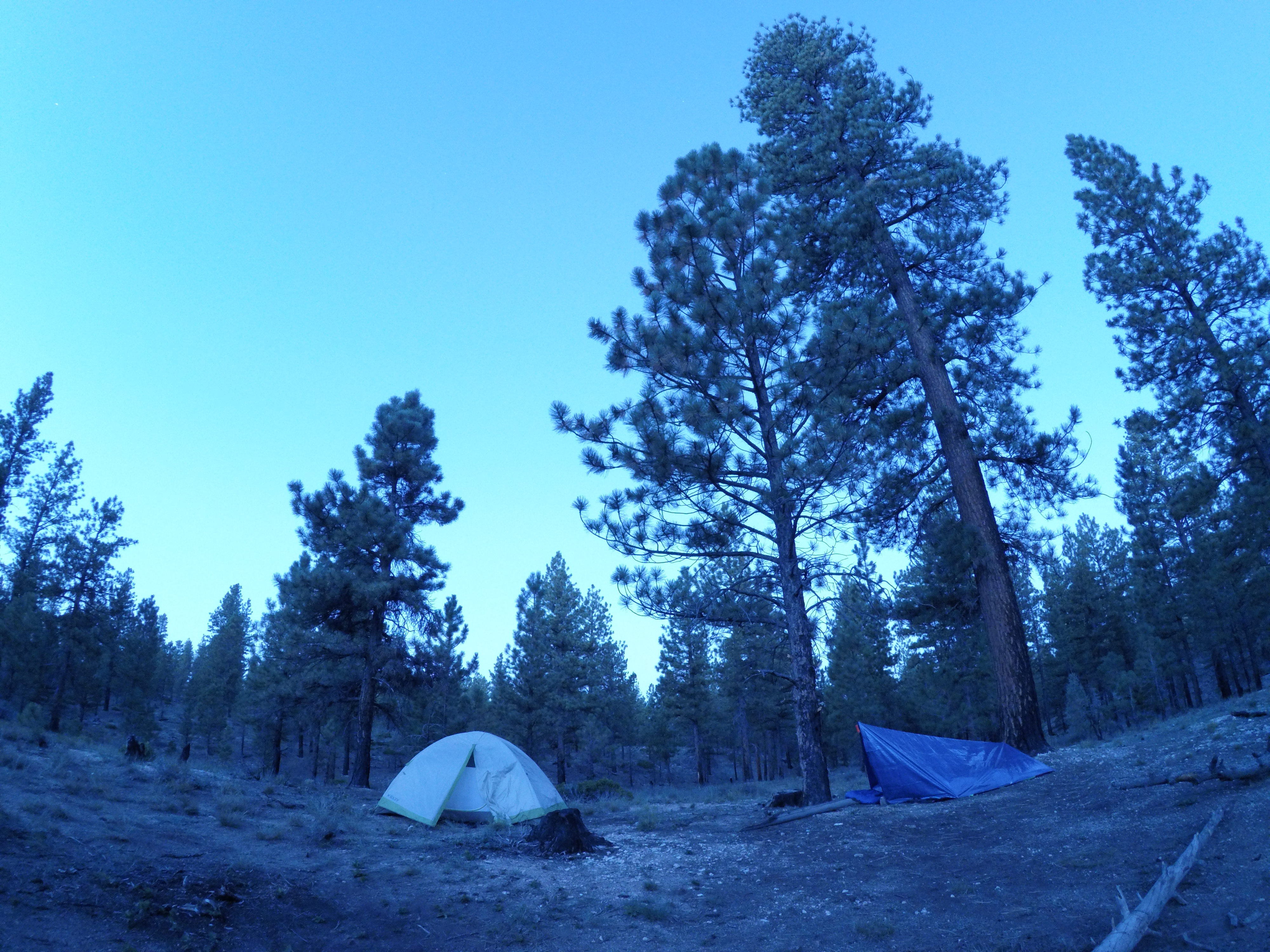 Dixie NF Camp  (2320).JPG