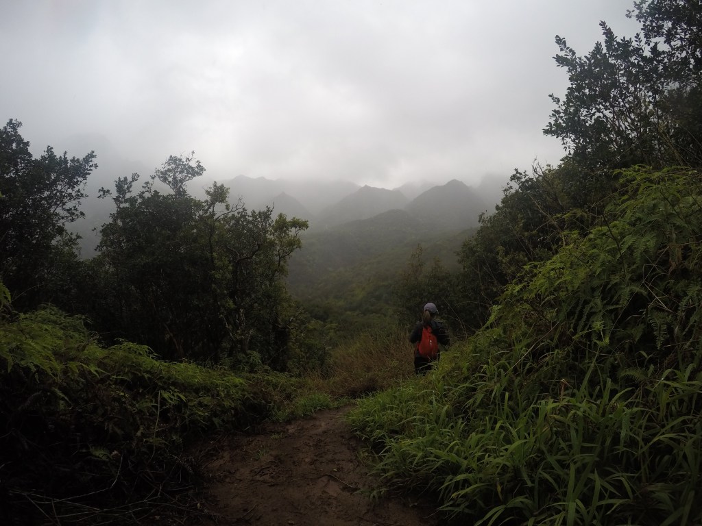 Wowee, so this is&nbsp;Maui