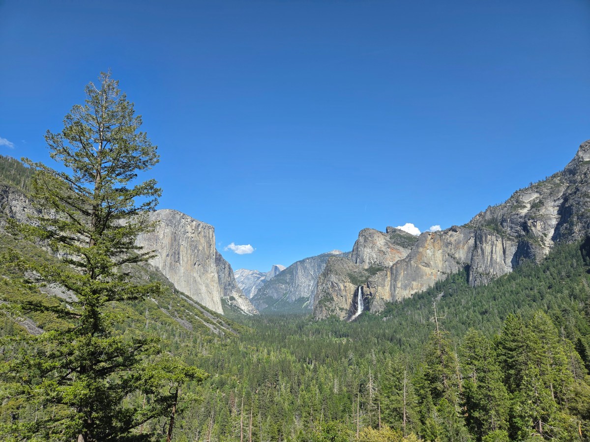 Yosemite with the&nbsp;Fam